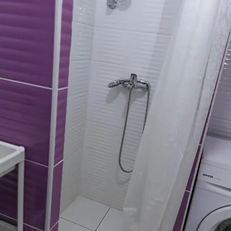 Apartment Tovilovic *